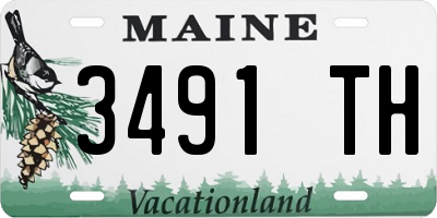 ME license plate 3491TH