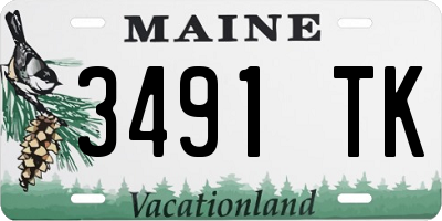 ME license plate 3491TK