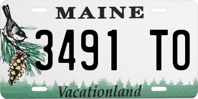 ME license plate 3491TO
