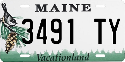 ME license plate 3491TY