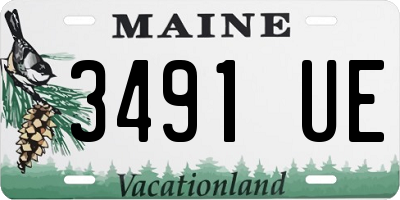 ME license plate 3491UE