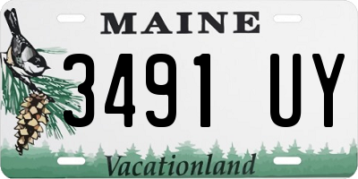 ME license plate 3491UY