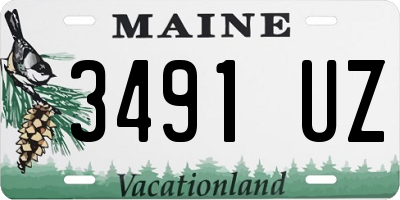 ME license plate 3491UZ