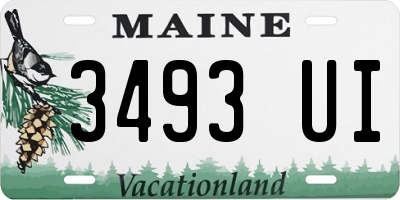 ME license plate 3493UI