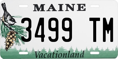 ME license plate 3499TM