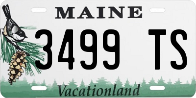 ME license plate 3499TS