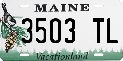 ME license plate 3503TL