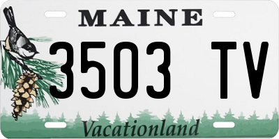 ME license plate 3503TV