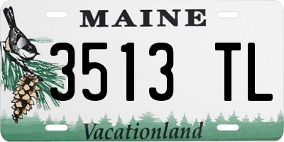 ME license plate 3513TL