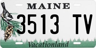 ME license plate 3513TV