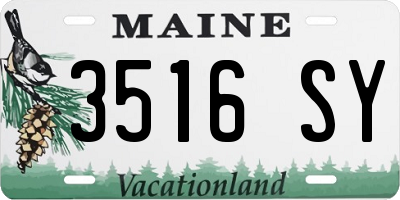 ME license plate 3516SY