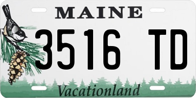 ME license plate 3516TD