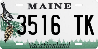 ME license plate 3516TK