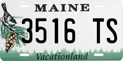 ME license plate 3516TS