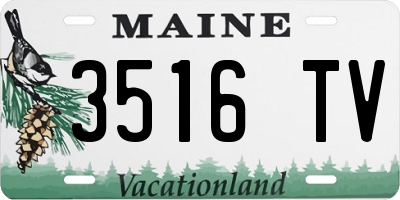 ME license plate 3516TV