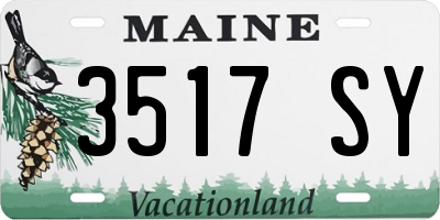 ME license plate 3517SY