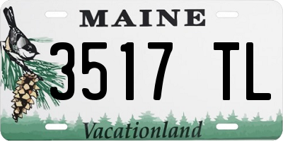 ME license plate 3517TL