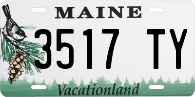 ME license plate 3517TY
