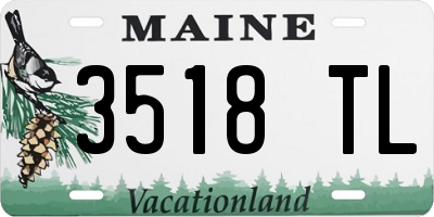 ME license plate 3518TL