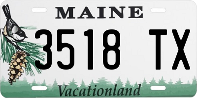 ME license plate 3518TX