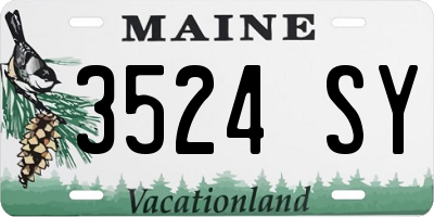 ME license plate 3524SY