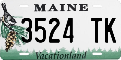 ME license plate 3524TK