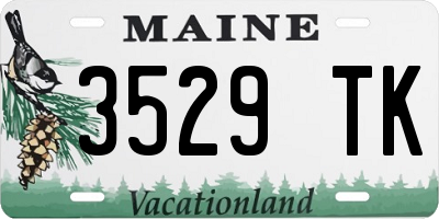 ME license plate 3529TK