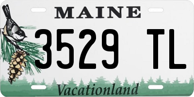 ME license plate 3529TL
