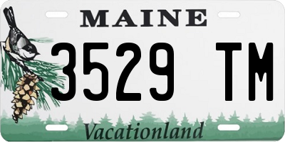 ME license plate 3529TM