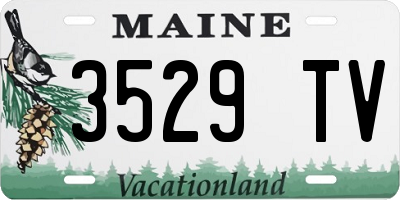 ME license plate 3529TV