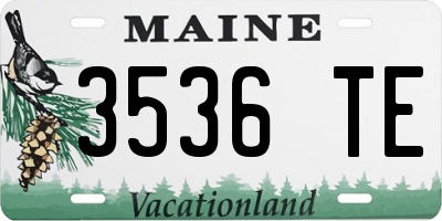 ME license plate 3536TE