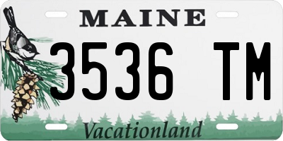 ME license plate 3536TM