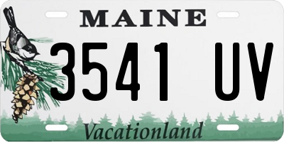 ME license plate 3541UV