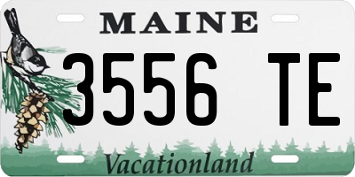ME license plate 3556TE