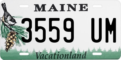 ME license plate 3559UM
