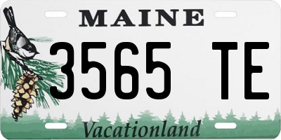ME license plate 3565TE