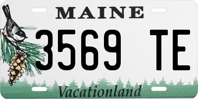 ME license plate 3569TE