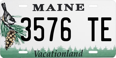 ME license plate 3576TE