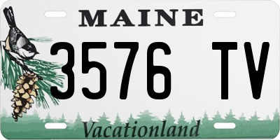 ME license plate 3576TV