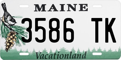 ME license plate 3586TK