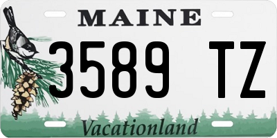 ME license plate 3589TZ