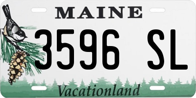 ME license plate 3596SL