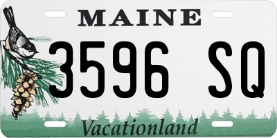 ME license plate 3596SQ