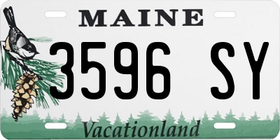 ME license plate 3596SY