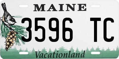 ME license plate 3596TC