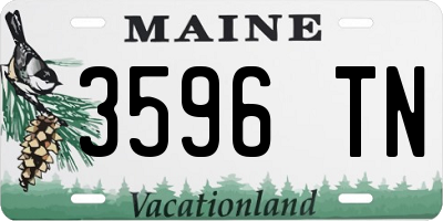 ME license plate 3596TN