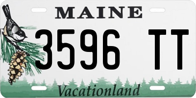 ME license plate 3596TT
