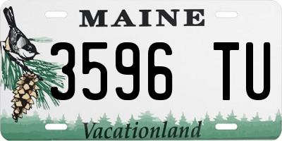 ME license plate 3596TU