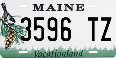ME license plate 3596TZ