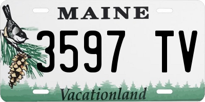 ME license plate 3597TV